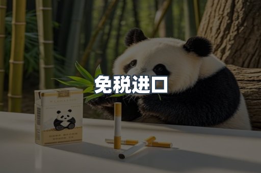 免税进口